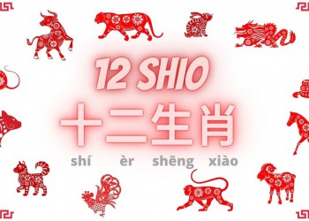 Fortune 12 Shio In 2022
